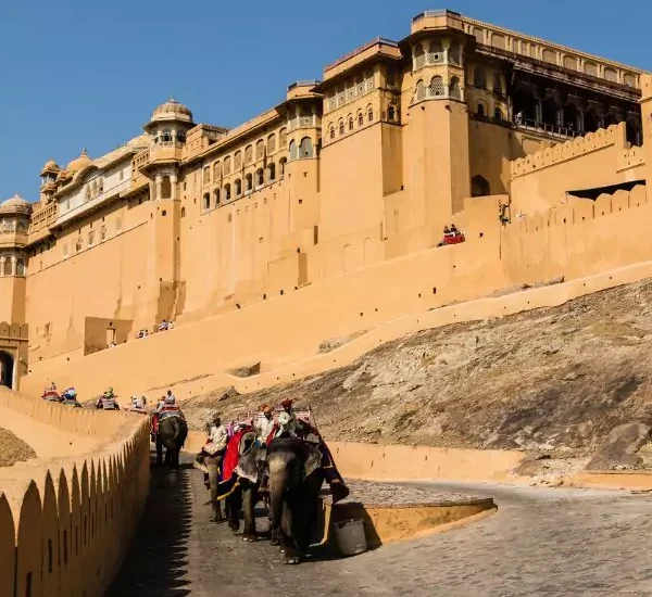 Amber Fort Jaipur