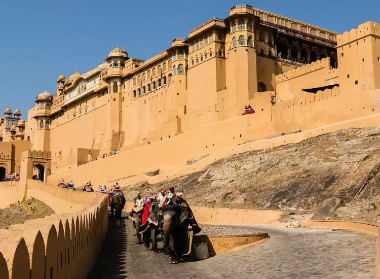 Amber Fort Jaipur