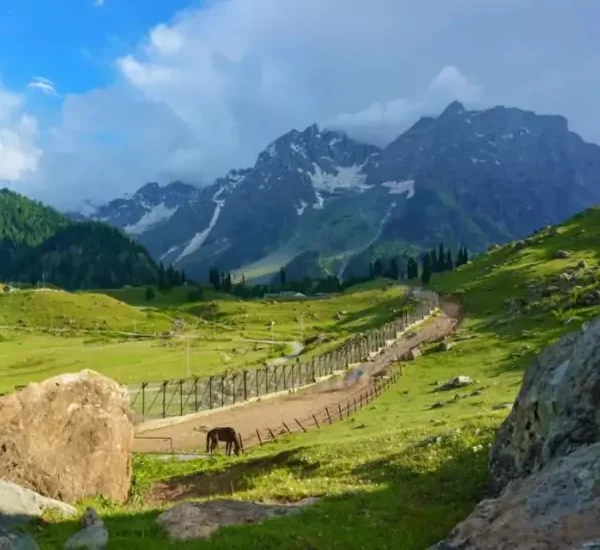 Sonmarg