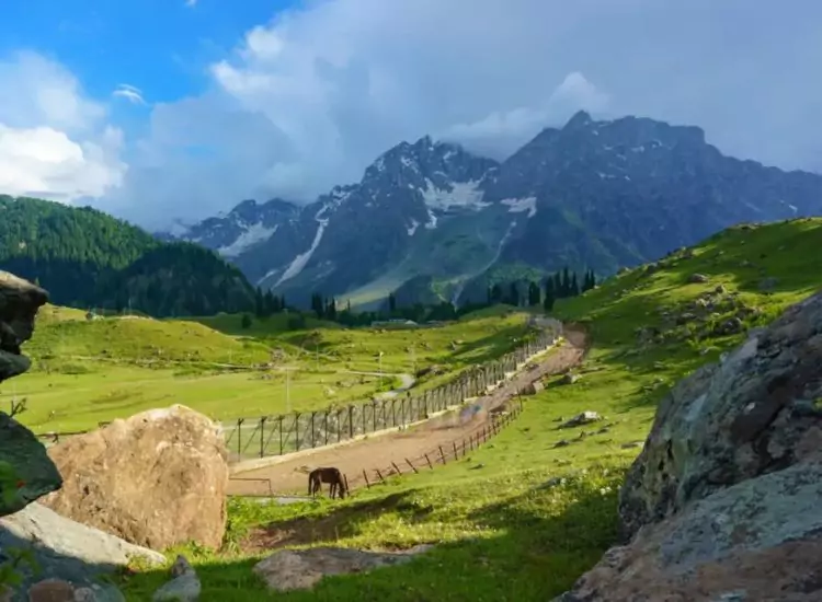 Sonmarg