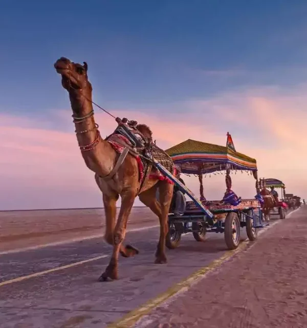 Gujarat