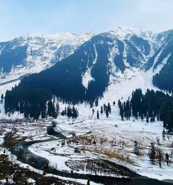 Kashmir