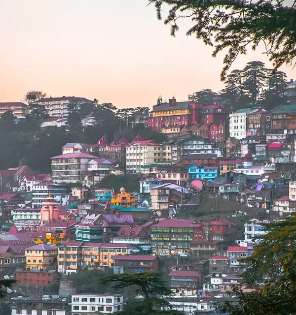 Shimla