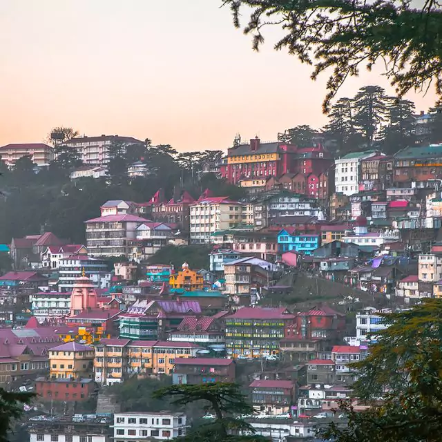 Shimla