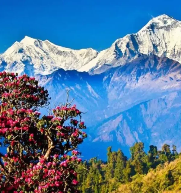 Uttarakhand