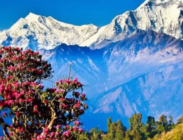 Uttarakhand